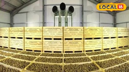 ভাঙড়ে তৈরি হচ্ছে অত্যাধুনিক হিমঘর ভাঙড়ে তৈরি হচ্ছে অত্যাধুনিক হিমঘর