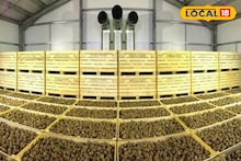 South 24 Parganas News: জেলার চাষিদের জন্য দারুণ সুখবর! ভাঙড়ে তৈরি হচ্ছে আধুনিক হিমঘর, নতুন কর্মসংস্থানের সুযোগ