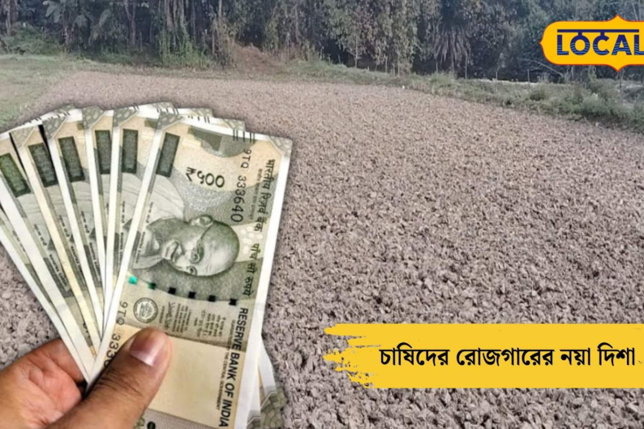 হাতির ভয়, লোকসানের দিন শেষ! কালচিনির চাষির নতুন আইডিয়া, ধানের জায়গা নিল লাভজনক এই চাষ হাতির ভয়, লোকসানের দিন শেষ! কালচিনির চাষির নতুন আইডিয়া, ধানের জায়গা নিল লাভজনক এই চাষ