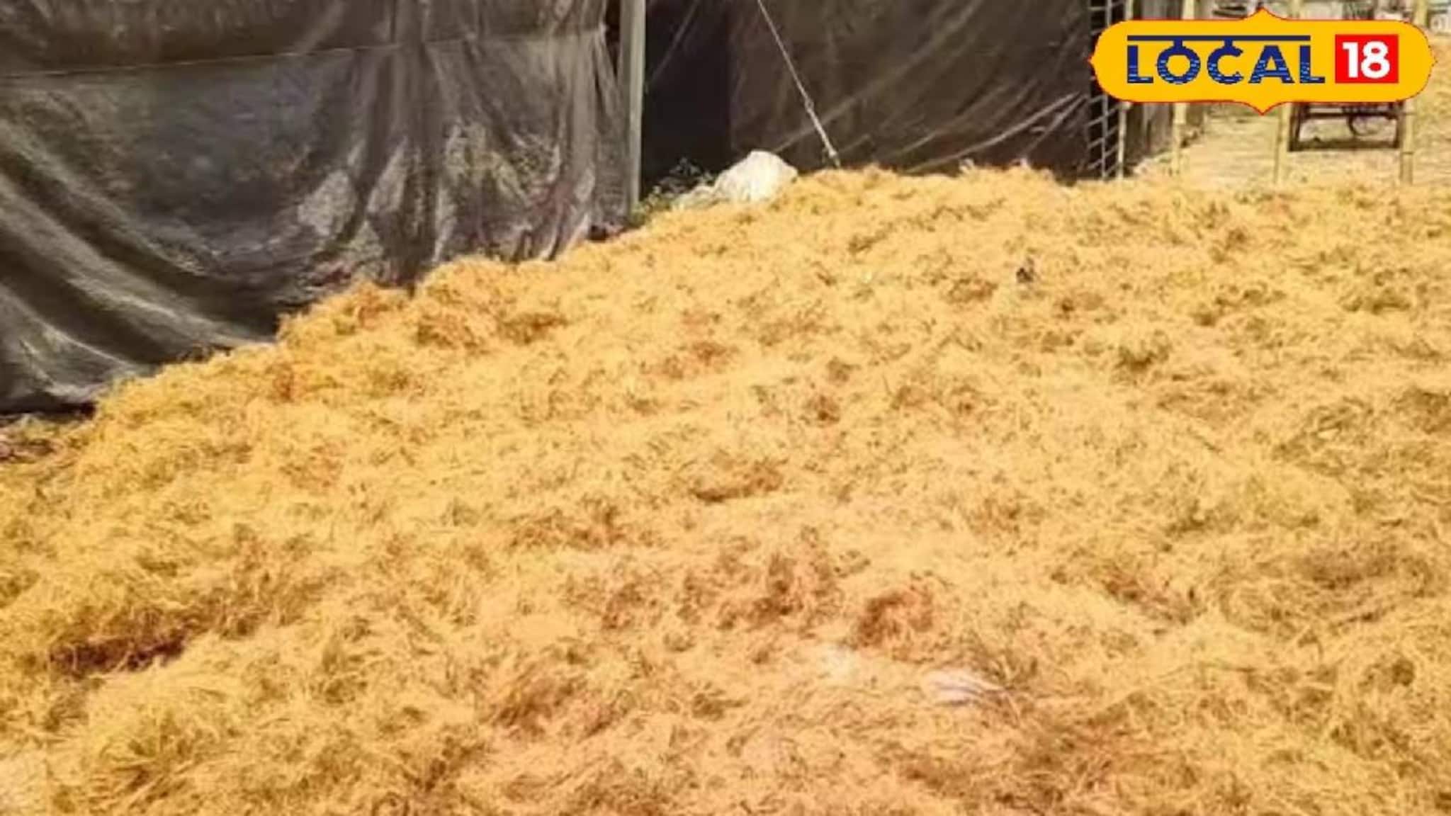 ফেলে দেওয়া জিনিসেই আয়ের দিশা! নারকেল ছোবড়া দিয়ে এইসব বানিয়ে হাতে আসছে টাকা