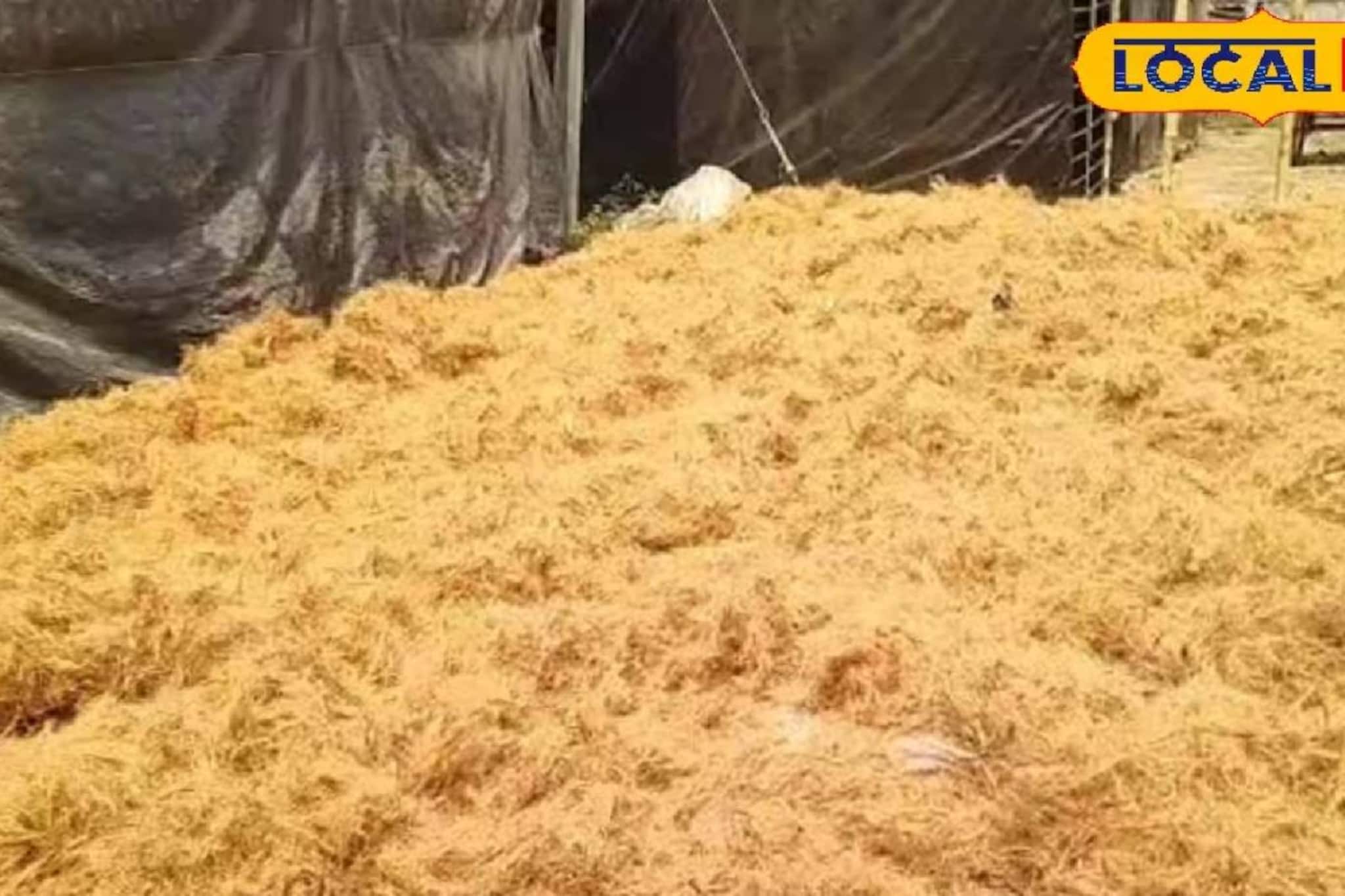 ফেলে দেওয়া জিনিসেই আয়ের দিশা! নারকেল ছোবড়া দিয়ে এইসব বানিয়ে হাতে আসছে টাকা