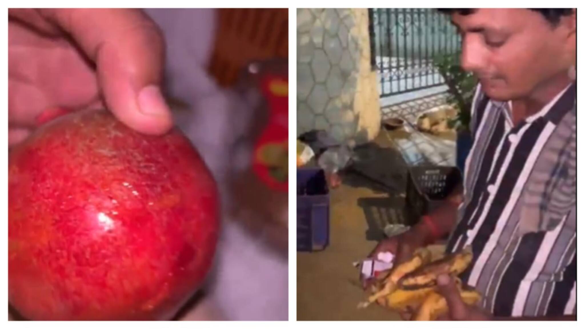 Rat Poison in Fruits: কলা, বেদানার গায়ে ইঁদুর মারা বিষ! মুম্বইয়ে গ্রেফতার দুই ফল বিক্রেতা, ভিডিও দেখলে শিউরে উঠবেন