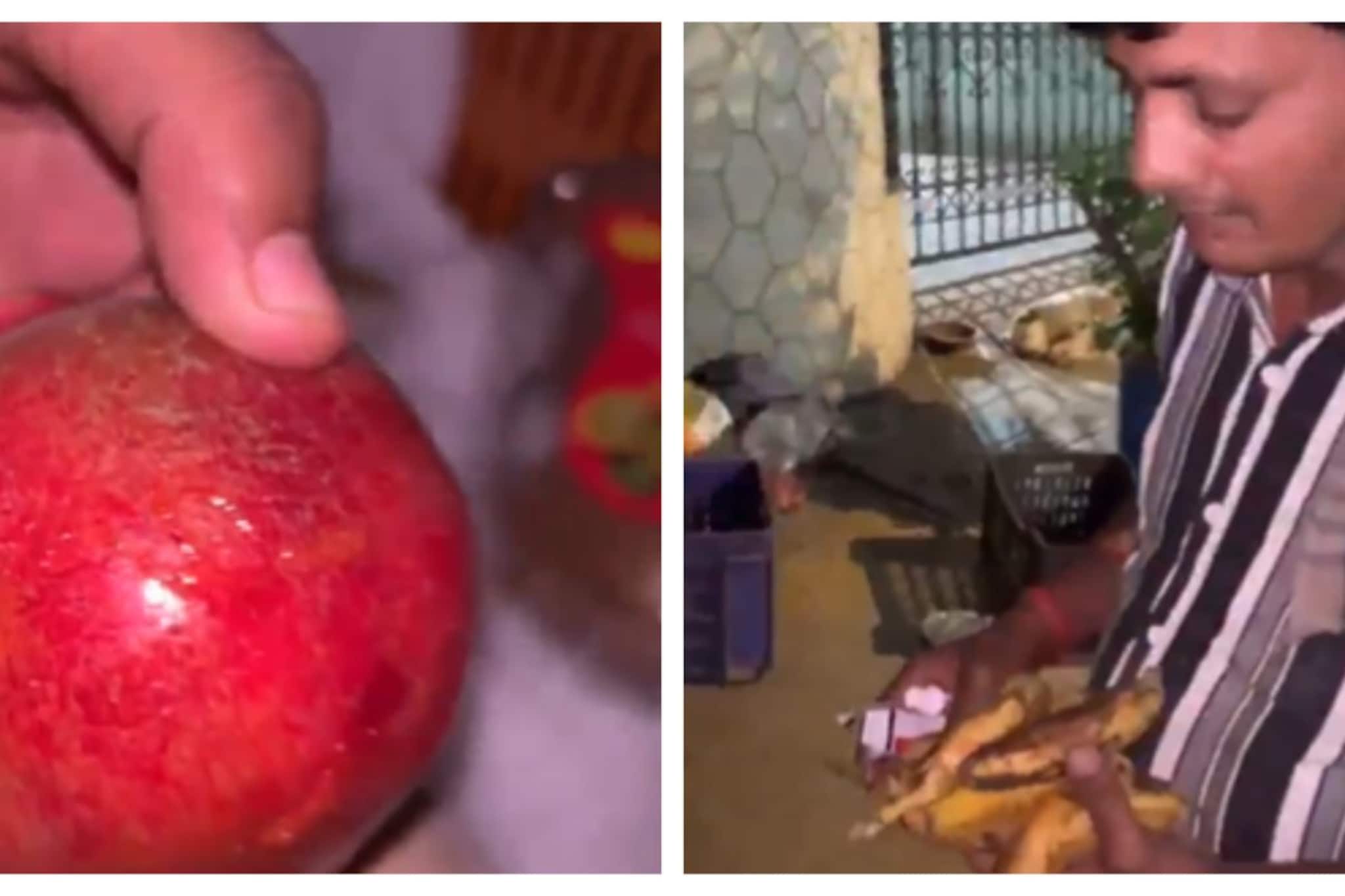 কলা, বেদানার গায়ে ইঁদুর মারা বিষ!মুম্বইয়ে গ্রেফতার ২ ফল বিক্রেতা,ভিডিও দেখলে শিউরে উঠবেন