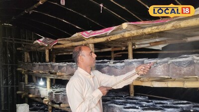 মাশরুম চাষ করছেন মালদহের দিলীপ রবিদাস