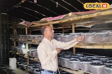 Money Making Ideas: ২৫০ টাকা দরেও কাড়াকাড়ি! ধান-পাটের বদলে বাড়িতেই 'সাদা সোনা' ফলিয়ে রাতারাতি ভাগ্য বদলালেন মালদহের চাষি