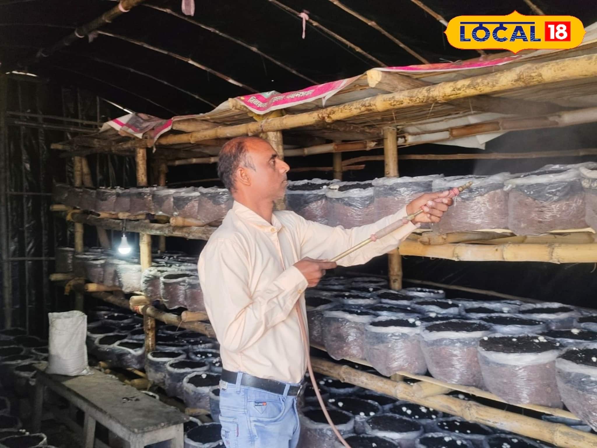 ২৫০ টাকা দরেও কাড়াকাড়ি! ধান-পাটের বদলে বাড়িতেই 'সাদা সোনা' তাক লাগালেন মালদহের চাষি