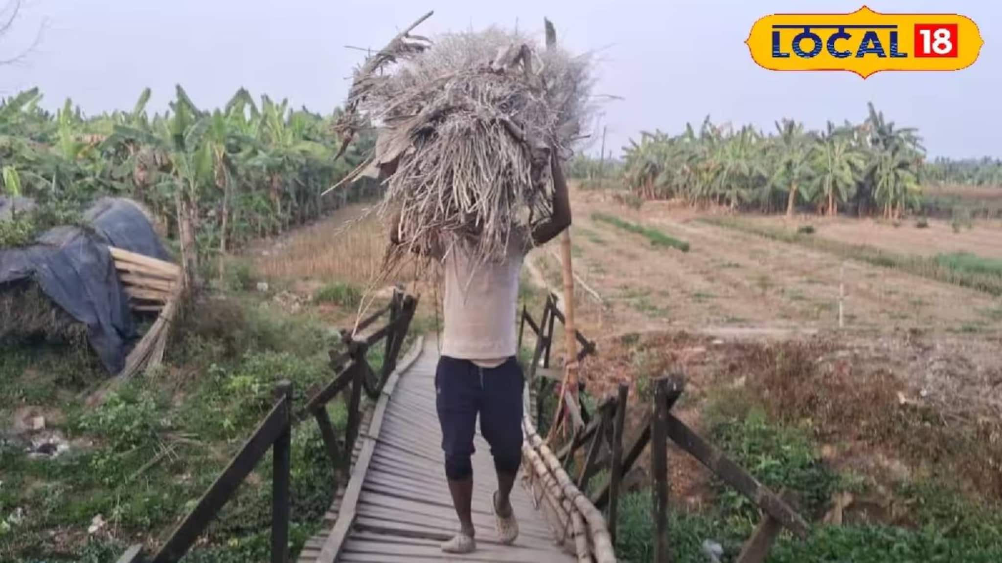 ১,৬২,০০০ টাকার সেতুর হাল বেহাল! চাকদহে ব্রিজ হেলে পড়ে ভয়ানক অবস্থা