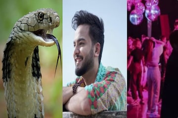 সাপের বিষ নিয়ে নেশা! এলভিস মামলা এবার সুপ্রিম কোর্টে, রেভ পার্টিতে কীভাবে ব্যবহার...