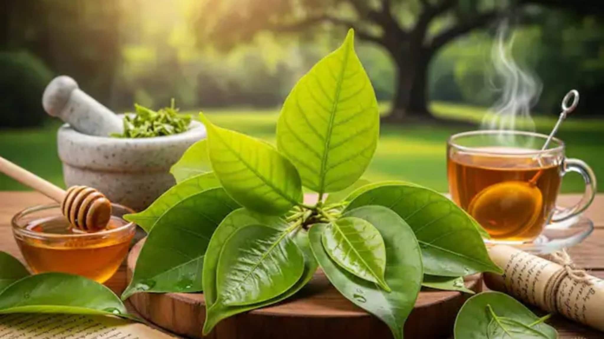 Bael Leaves Benefits: কোলেস্টেরল, ডায়াবেটিসের মহৌষধ! হজমশক্তি বৃদ্ধিতে অব্যর্থ! শুধু ২-৩ টে বেলপাতা খান এভাবে