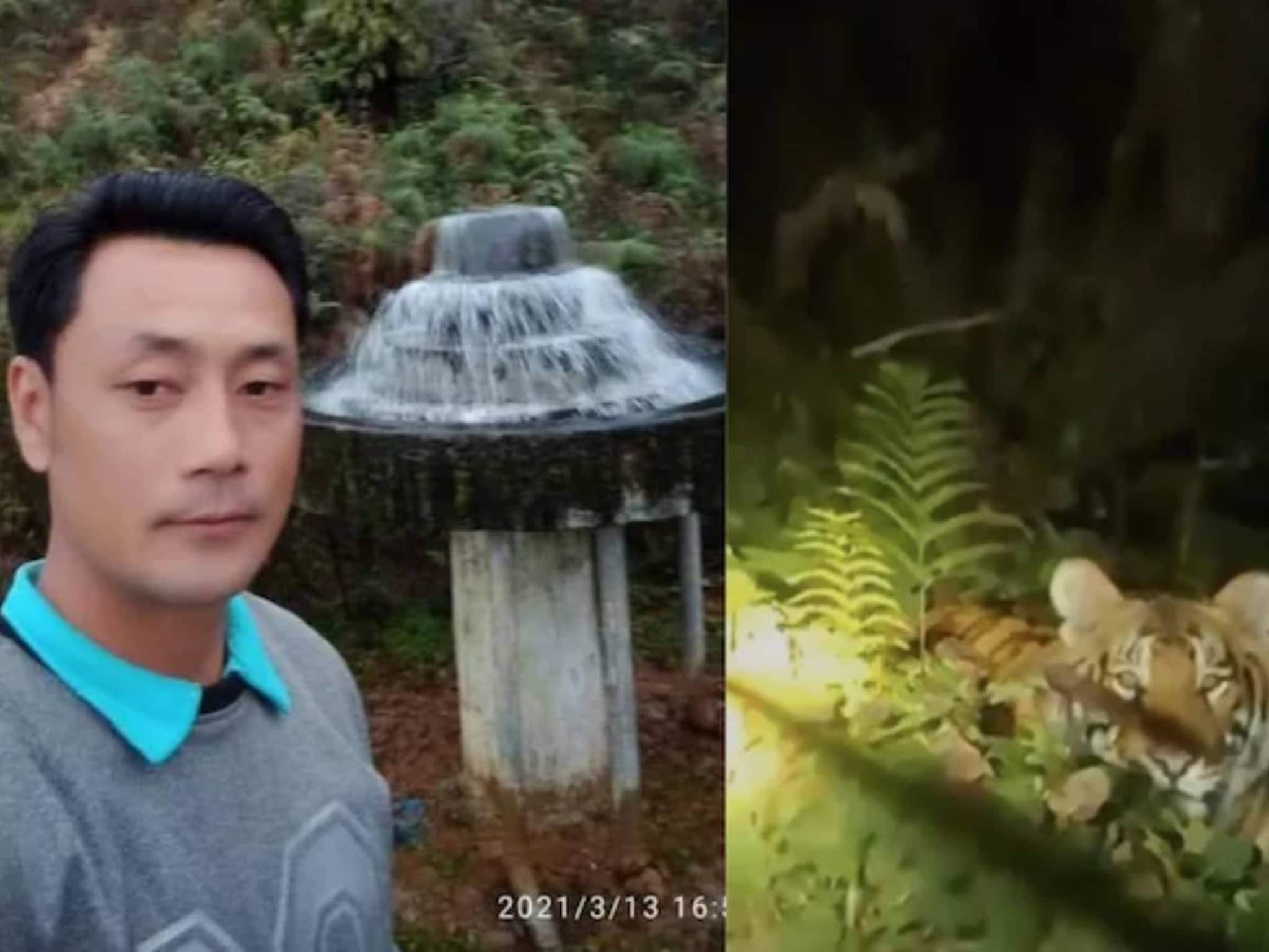 অরুণাচল প্রদেশের পাহাড়ি পথে মোটরবাইকে যাওয়ার সময় বাঘের হানায় ছিন্নভিন্ন পুলিশ কনস্টেবল