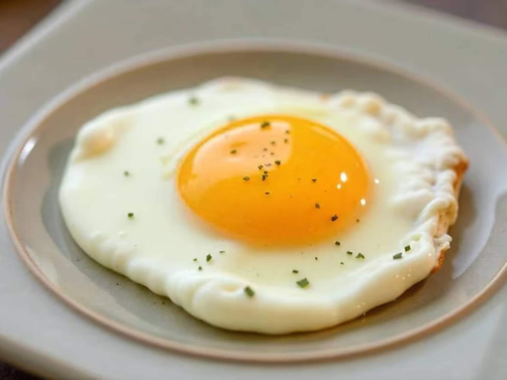 এই খাবারগুলির সঙ্গে ভুলেও খাবেন না ডিম! শরীরের জন্য চরম ক্ষতিকারক! হিতে বিপরীত