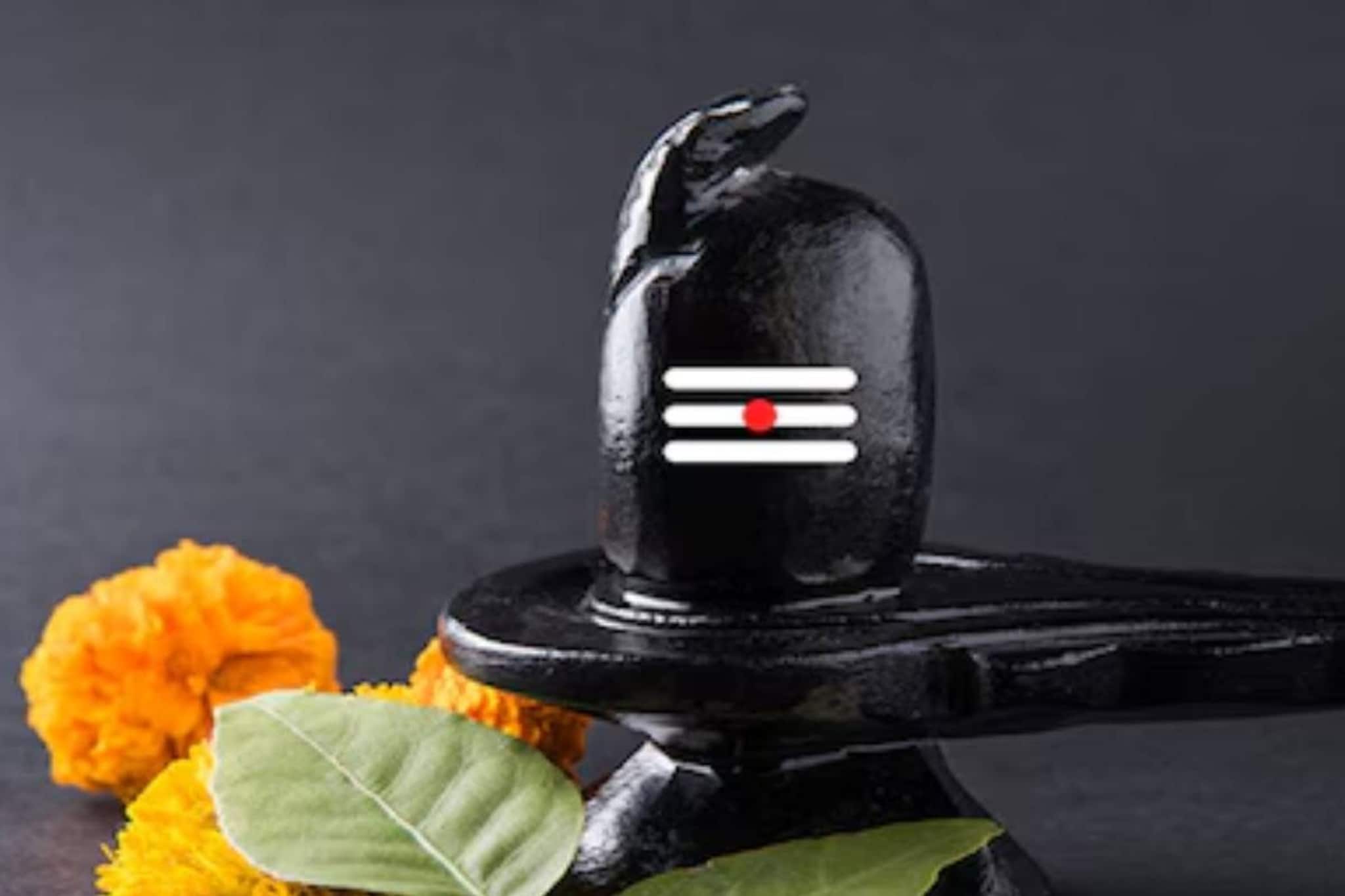 মহাশিবরাত্রিতে এভাবে বেলপাতা নিবেদনেই পূর্ণ মনের সব সাধ! বিশেষ দিকে বেলগাছ থাকলে অর্থবর্ষা