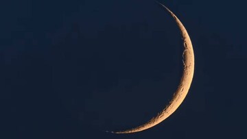 আজ ফাল্গুন অমাবস্যা! খাবেন না ৬ সবজি ও ১ বিশেষ খাবার! অনর্থ-অনটন-অশান্তিতে ছত্রভঙ্গ সংসার