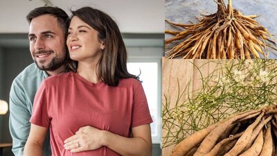 শতাবরী স্বাস্থ্যের জন্য অত্যন্ত উপকারী একটি আয়ুর্বেদিক ভেষজ। এটি রোগ প্রতিরোধ ক্ষমতা বৃদ্ধি, মানসিক চাপ কমাতে এবং হজমশক্তি উন্নত করতে সাহায্য করে। এটি পুরুষ ও মহিলা উভয়ের যৌন স্বাস্থ্য, শক্তি এবং স্ট্যামিনা উন্নত করে, পাশাপাশি হরমোনের ভারসাম্যও উন্নত করে। নিয়মিত সেবন হাড়কে শক্তিশালী করতে এবং শরীর থেকে বিষাক্ত পদার্থ দূর করতেও সাহায্য করে।