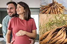 Men & Women Fertility Problems: ভেষজের রানি! জরায়ু, ডিম্বাশয়ের রক্ষাকবচ! পুরুষদের উর্বরতা তুঙ্গে, তেজিয়ান শক্তির ভান্ডার এই গাছের শিকড়