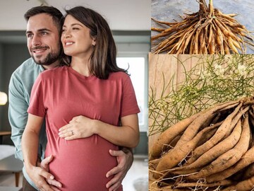 ভেষজ-রানি! জরায়ু, ডিম্বাশয়ের রক্ষাকবচ! পুরুষদের উর্বরতা তুঙ্গে, তেজিয়ান শক্তির ভান্ডার