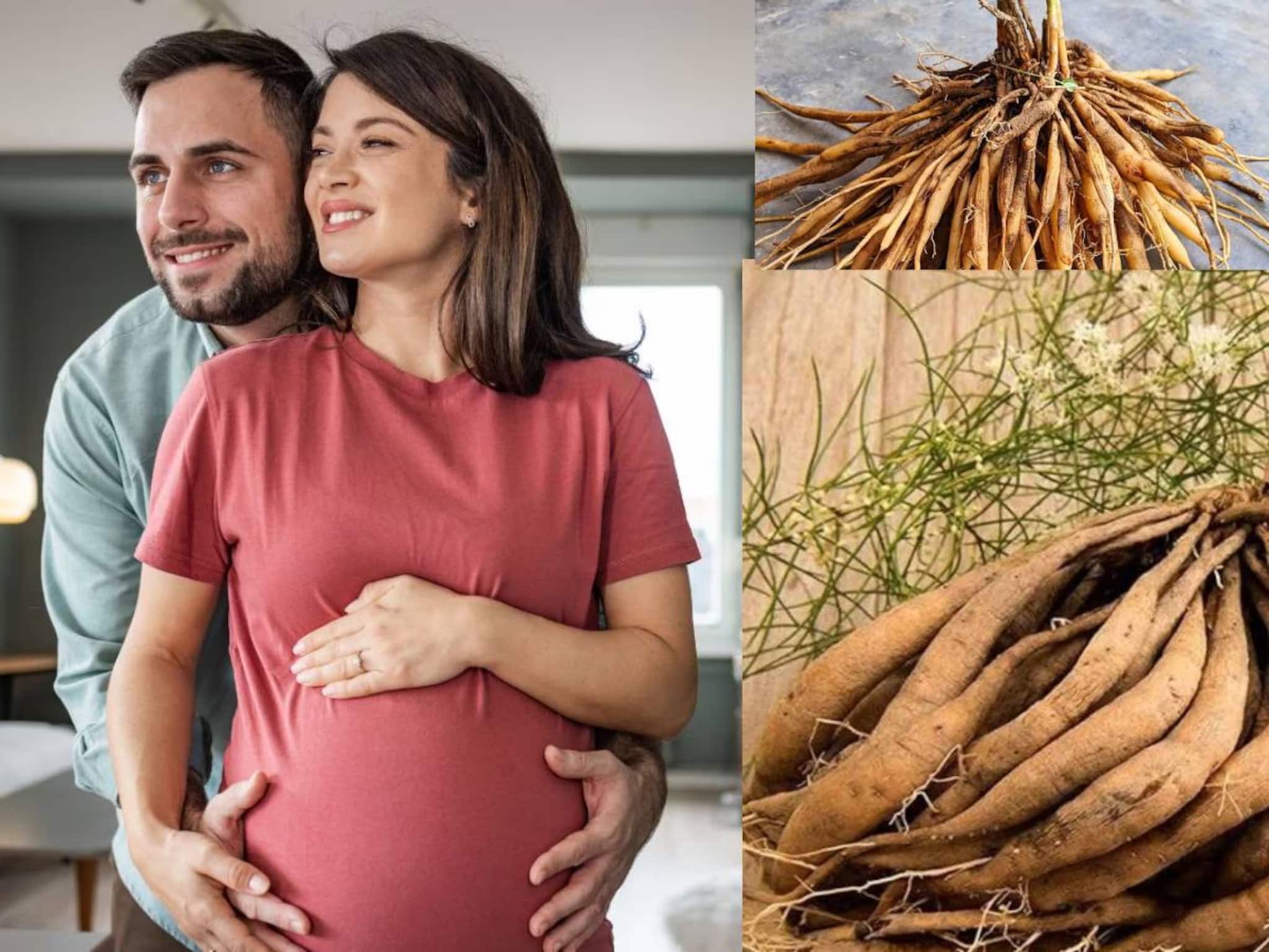 ভেষজ-রানি! জরায়ু, ডিম্বাশয়ের রক্ষাকবচ! পুরুষদের উর্বরতা তুঙ্গে, তেজিয়ান শক্তির ভান্ডার