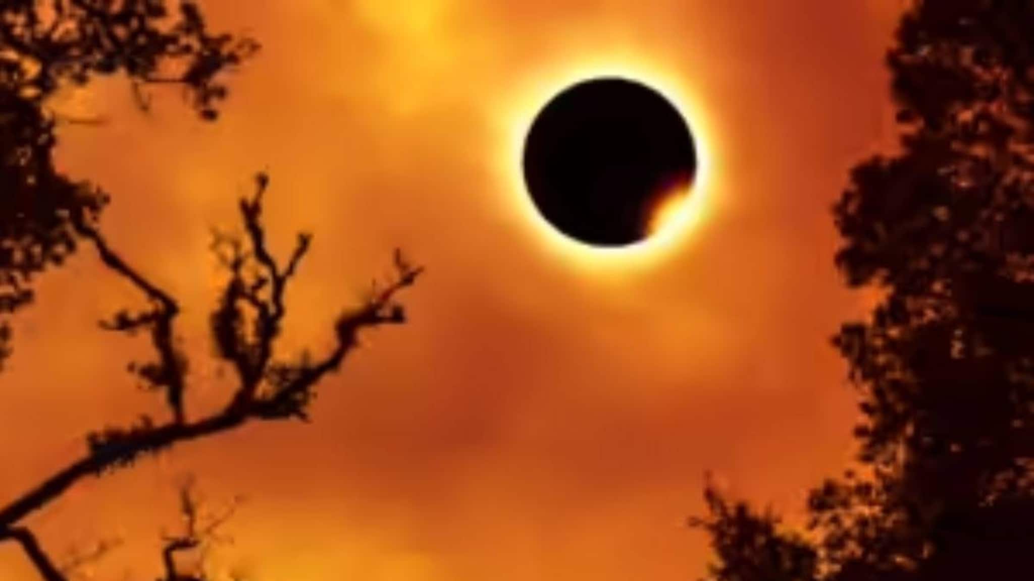 First Suryagrahan in 2026: রাত পোহালেই ফাল্গুনী অমাবস্যায় বছরের প্রথম সূর্যগ্রহণ! আঁধার আকাশে অগ্নিবলয়! দেখা যাবে ভারতে? জানুন গ্রহণের নির্ঘণ্ট!