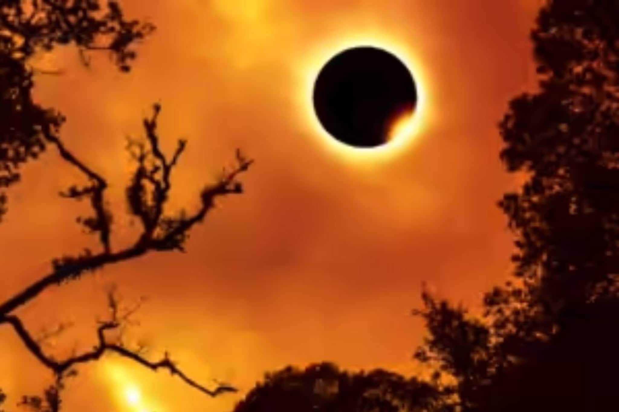 রাত পোহালেই বছরের প্রথম সূর্যগ্রহণ! আকাশে অগ্নিবলয়! দেখা যাবে ভারতে? জানুন গ্রহণ-নির্ঘণ্ট রাত পোহালেই বছরের প্রথম সূর্যগ্রহণ! আকাশে অগ্নিবলয়! দেখা যাবে ভারতে? জানুন গ্রহণ-নির্ঘণ্ট