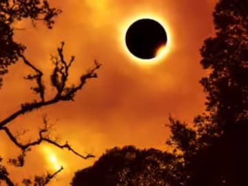 রাত পোহালেই বছরের প্রথম সূর্যগ্রহণ! আকাশে অগ্নিবলয়! দেখা যাবে ভারতে? জানুন গ্রহণ-নির্ঘণ্ট রাত পোহালেই বছরের প্রথম সূর্যগ্রহণ! আকাশে অগ্নিবলয়! দেখা যাবে ভারতে? জানুন গ্রহণ-নির্ঘণ্ট