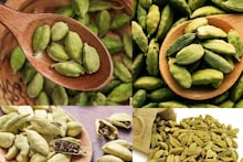 Oral Odour & Indigestion: ২ দানা জিভে রাখলেই কেল্লাফতে! উধাও মুখের পচা দুর্গন্ধ! শরীর থেকে সাফ বিষাক্ত জিনিস