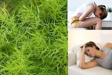 Menstrual Problems: ভিটামিন, ক্যালসিয়ামে ভরা এই আগাছা ঋতুস্রাবে অবিশ্বাস্য উপকারী! চোখের নিমেষে উধাও কষ্ট