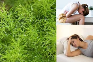 ভিটামিন, ক্যালসিয়ামে ভরা এই আগাছা ঋতুস্রাবে অবিশ্বাস্য উপকারী! চোখের নিমেষে উধাও কষ্ট