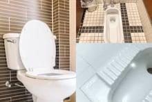 Commode vs Indian Style: কমোডে চেয়ারের মতো নাকি পুরনো ব্যবস্থায় হাঁটু ভাঁজ করে বসা? কীভাবে মলত্যাগ স্বাস্থ্যকর? কোনটায় ভাল থাকে শরীর? জানুন