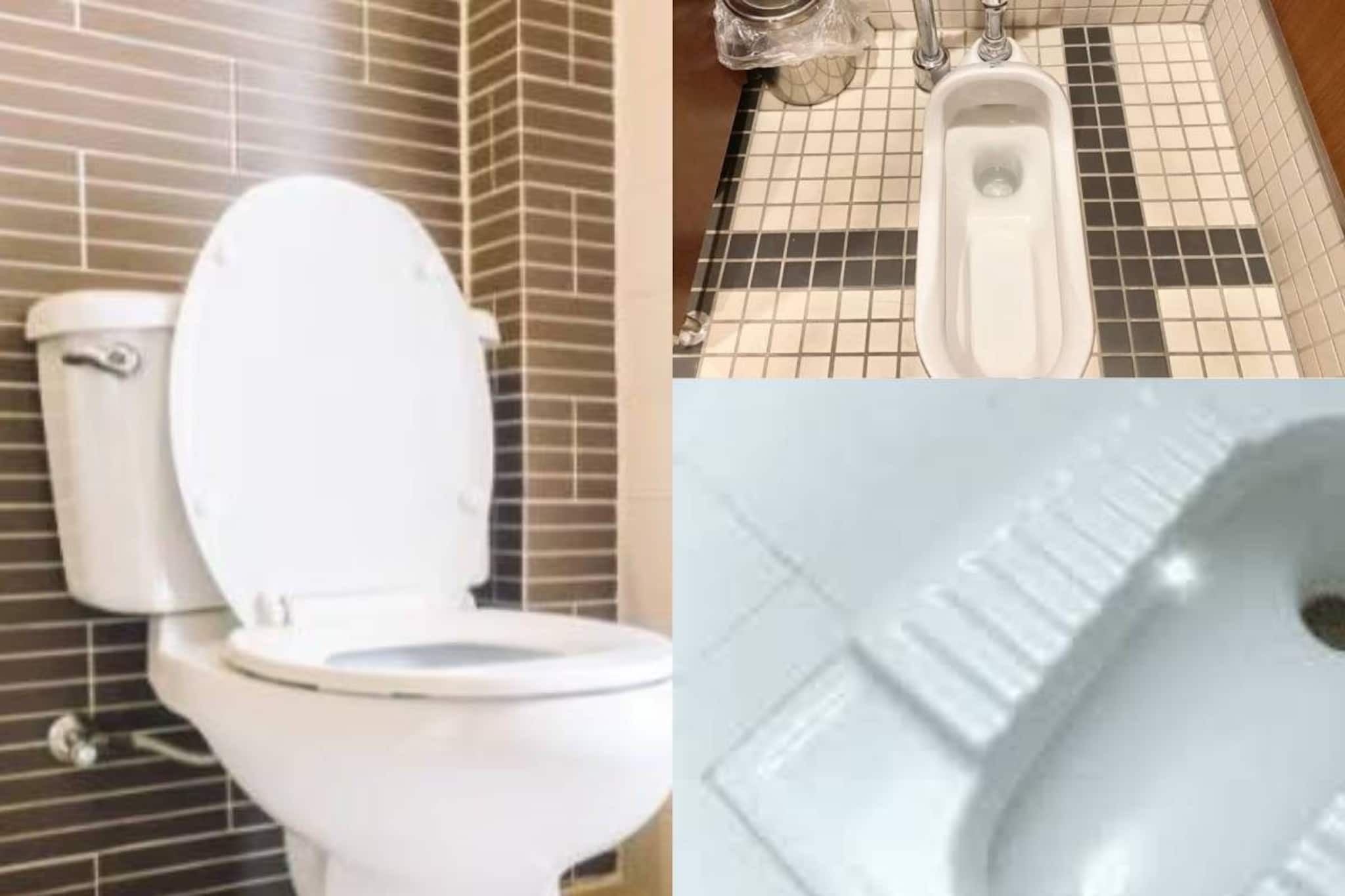 কমোডে চেয়ারের মতো নাকি পুরনো ব্যবস্থায় হাঁটু ভাঁজ করে বসা? কীভাবে মলত্যাগ স্বাস্থ্যকর?