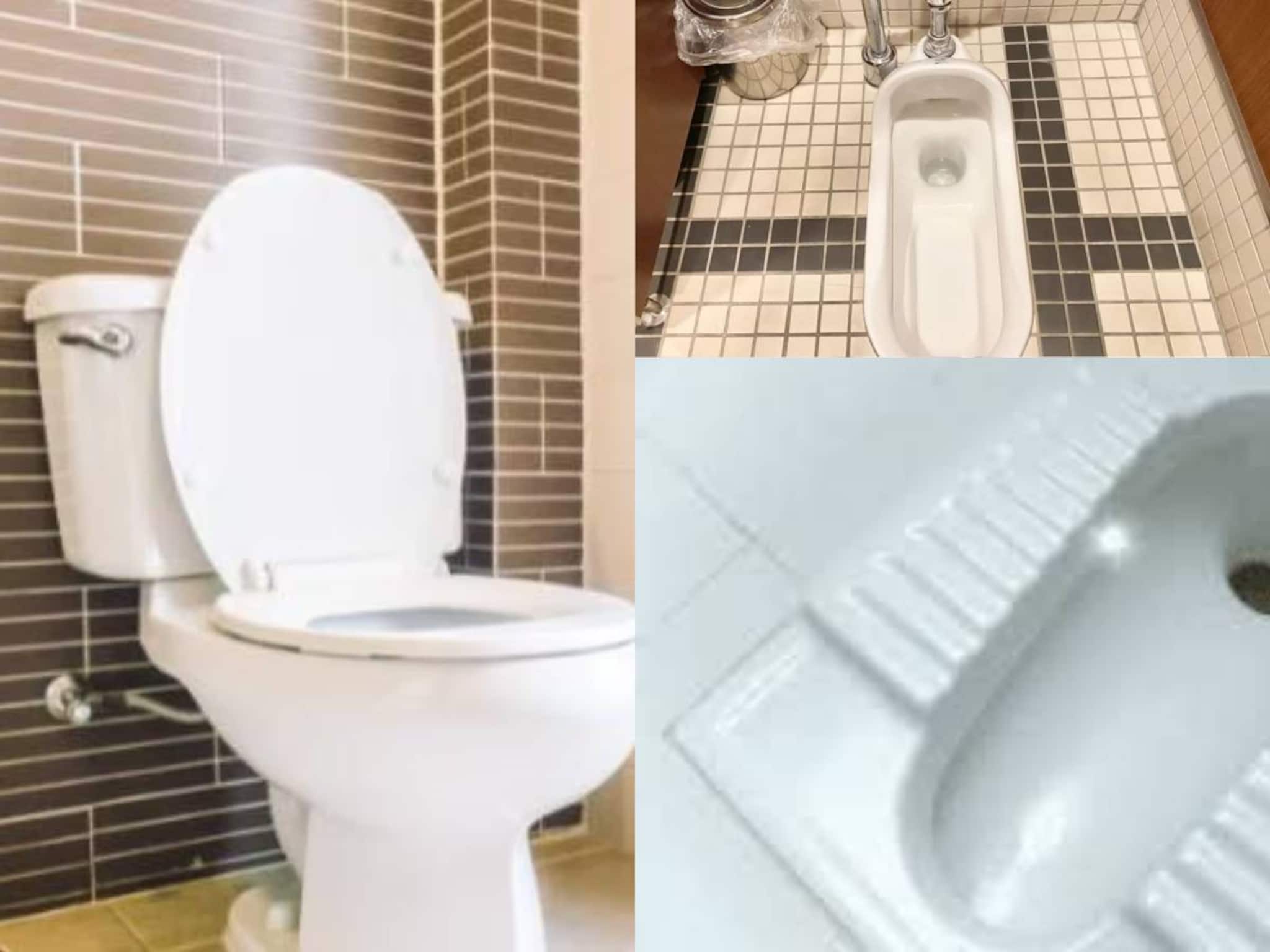 কমোডে চেয়ারের মতো নাকি পুরনো ব্যবস্থায় হাঁটু ভাঁজ করে বসা? কীভাবে মলত্যাগ স্বাস্থ্যকর?