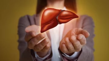 দীর্ঘ ক্ষণ ডেস্কে বসে কাজ? বারোটা বাজছে লিভারের...‘ছোট্ট’ কাজেই ব্যস্ত জীবনে সুস্থ লিভার