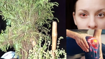 ছুঁয়েও দেখে না পশুরা! বাজারে দাম কেজিপ্রতি ২০০ টাকা! উপকারিতা জানলে আপনিও ছুটবেন কিনতে ছুঁয়েও দেখে না পশুরা! বাজারে দাম কেজিপ্রতি ২০০ টাকা! উপকারিতা জানলে আপনিও ছুটবেন কিনতে