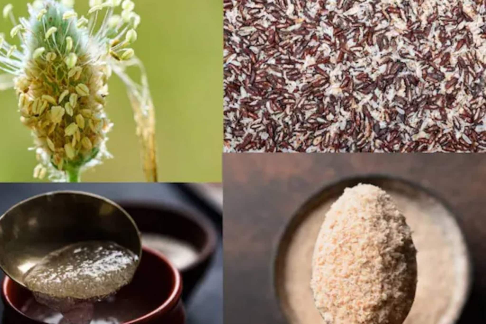 ইসবগুল বা ভুসি রোজ খাওয়া কি শরীরের জন্য চরম ক্ষতিকর? সঠিক তথ্য জানুন, দূর করুন ভুল ধারণা