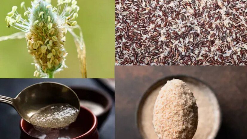 অনেক বহুল ব্যবহৃত ঘরোয়া প্রতিকারের মতো, ইসবগুলও বেশ কিছু ভুল ধারণা দ্বারা বেষ্টিত যা সত্যের চেয়ে দ্রুত ছড়িয়ে পড়ে। এই বিষয়টি পরিষ্কার করার জন্য, ফিটনেস কোচ রালস্টন ডি'সুজা তার ইনস্টাগ্রাম হ্যান্ডেলে ইসবগুল সম্পর্কে সবচেয়ে সাধারণ ভুল ধারণাগুলি ভেঙে দিয়েছেন যা আপনার এখনই বিশ্বাস করা বন্ধ করা উচিত। অনেক বহুল ব্যবহৃত ঘরোয়া প্রতিকারের মতো, ইসবগুলও বেশ কিছু ভুল ধারণা দ্বারা বেষ্টিত যা সত্যের চেয়ে দ্রুত ছড়িয়ে পড়ে। এই বিষয়টি পরিষ্কার করার জন্য, ফিটনেস কোচ রালস্টন ডি'সুজা তার ইনস্টাগ্রাম হ্যান্ডেলে ইসবগুল সম্পর্কে সবচেয়ে সাধারণ ভুল ধারণাগুলি ভেঙে দিয়েছেন যা আপনার এখনই বিশ্বাস করা বন্ধ করা উচিত।