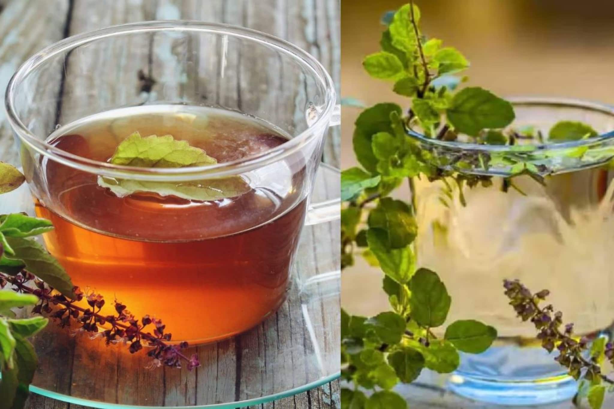 রক্ত থাকবে পরিষ্কার! ভাল হজম হয়ে সাফ পেট! শুধু তুলসীপাতা খান এভাবে! করবেন না ‘এই’ ভুল রক্ত থাকবে পরিষ্কার! ভাল হজম হয়ে সাফ পেট! শুধু তুলসীপাতা খান এভাবে! করবেন না ‘এই’ ভুল