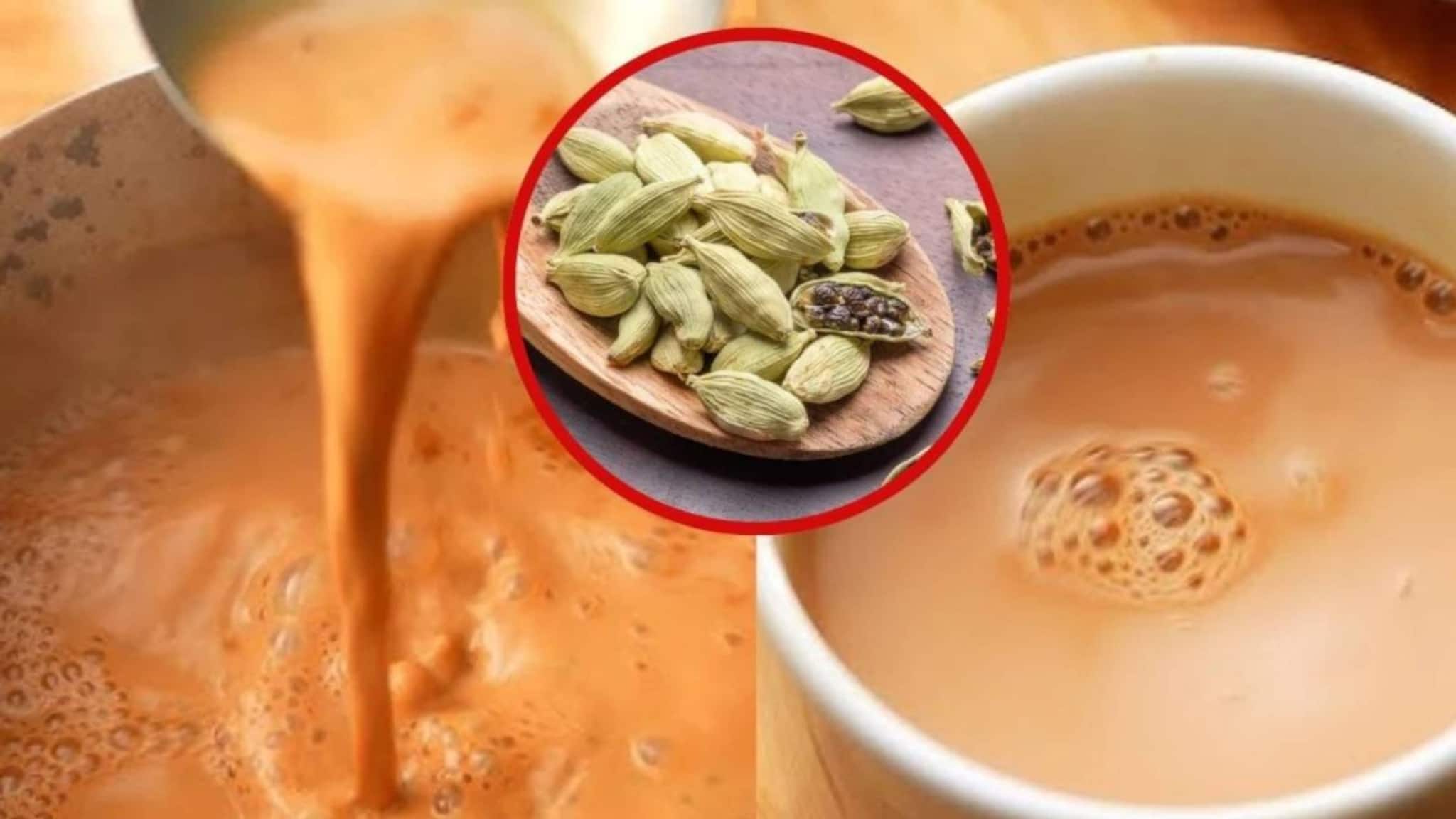 Oral Odour: চায়ে ফেলুন কয়েক দানা! ধুয়ে মুছে সাফ মুখের দুর্গন্ধ! শরীর থেকে ব্লটিং পেপারের মতো শুষে নেবে বিষাক্ত জিনিস