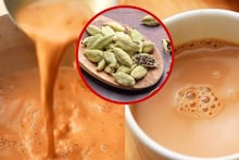 Oral Odour: চায়ে ফেলুন কয়েক দানা! ধুয়ে মুছে সাফ মুখের দুর্গন্ধ! শরীর থেকে ব্লটিং পেপারের মতো শুষে নেবে বিষাক্ত জিনিস