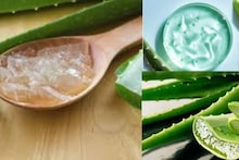 Dandruff & Pimple Home Remedies:পাতার কয়েক ফোঁটা রসেই সারবে ব্রণ! কমবে খুশকি! কোষ্ঠকাঠিন্য, অম্বল থেকে মুক্তি...চিনুন আপনার মুশকিল আসান এই গাছকে