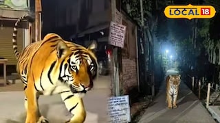 এআই দিয়ে তৈরি ছবি ঘিরে আতঙ্ক এআই দিয়ে তৈরি ছবি ঘিরে আতঙ্ক