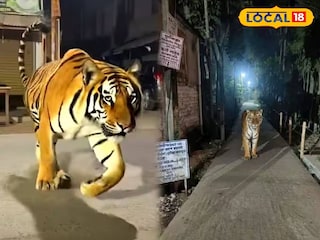 এআই দিয়ে তৈরি ছবি ঘিরে আতঙ্ক