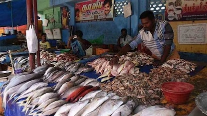 বিহারে স্কুল-ধর্মীয় স্থানের কাছাকাছি মাছ-মাংস বিক্রিতে কড়া পদক্ষেপ (প্রতীকী ছবি) বিহারে স্কুল-ধর্মীয় স্থানের কাছাকাছি মাছ-মাংস বিক্রিতে কড়া পদক্ষেপ (প্রতীকী ছবি)