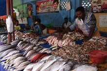 Bihar: 'হিংসাত্মক প্রবণতা রুখতে' বিহারে স্কুল-ধর্মীয় স্থানের কাছাকাছি মাছ-মাংস বিক্রিতে কড়া পদক্ষেপ সরকারের!