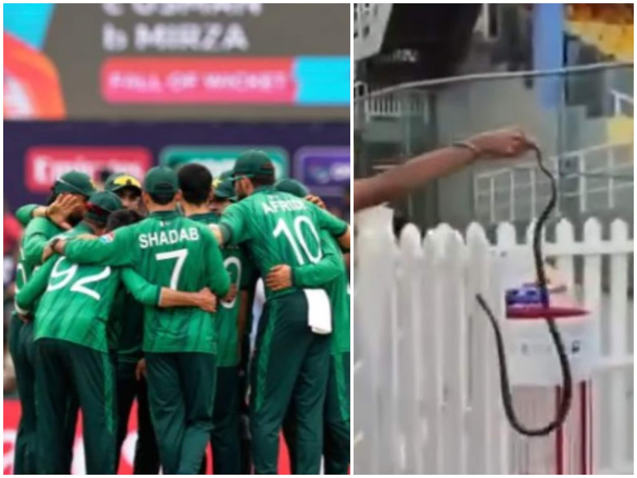 ভারতের বিরুদ্ধে নামার আগেই বিপদ পাকিস্তানের! বাবর-শাহিনদের ডাগআউটে সাপের হানা ভারতের বিরুদ্ধে নামার আগেই বিপদ পাকিস্তানের! বাবর-শাহিনদের ডাগআউটে সাপের হানা