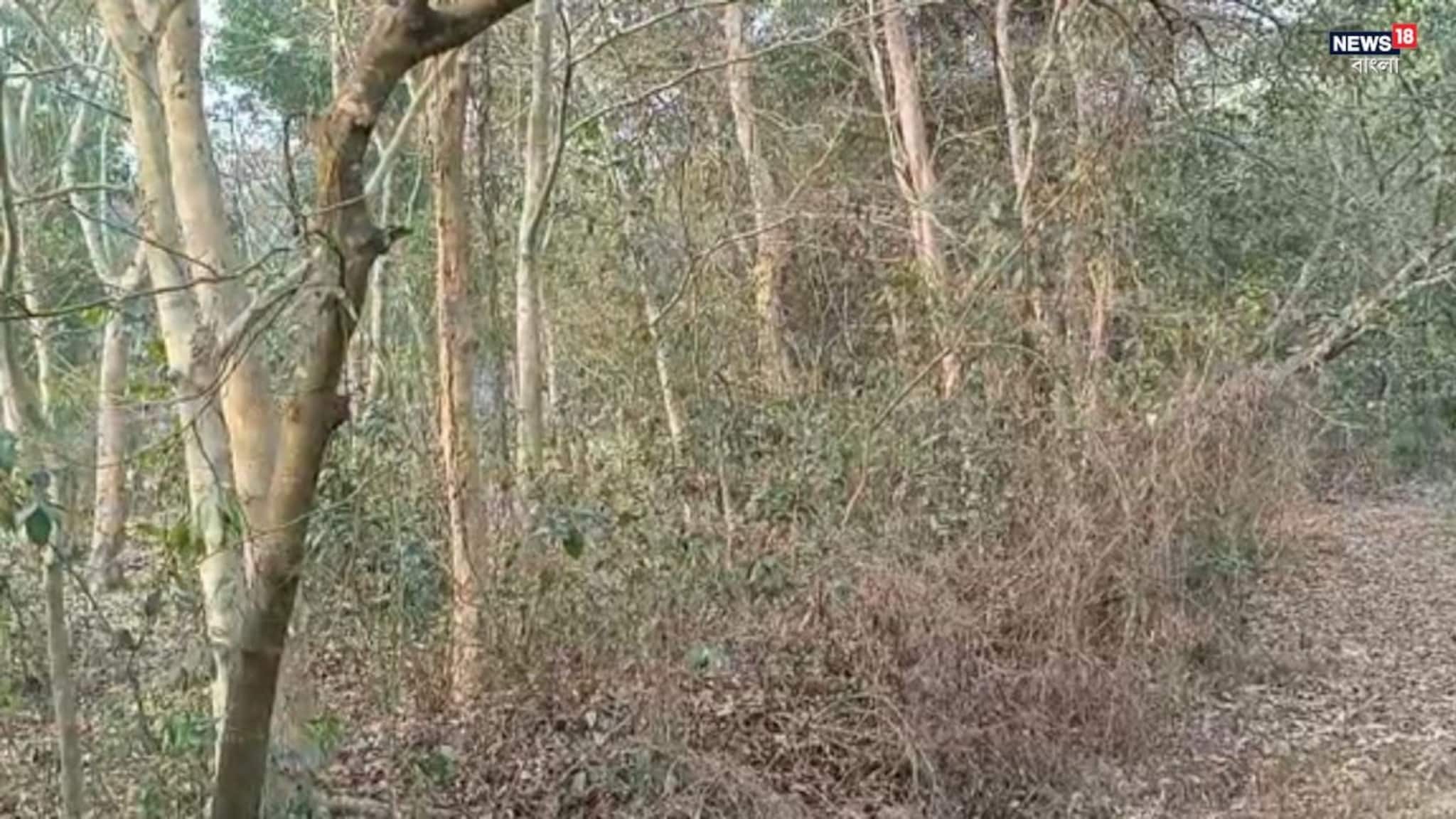 স্কুলের পিছনে রহস্যমৃত্যু! গাছ থেকে ঝুলন্ত দেহ উদ্ধার, আর্থিক চাপে আত্মহত্যার জল্পনা