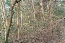 Bangla News: স্কুলের পিছনে রহস্যমৃত্যু! পিংলায় গাছ থেকে ঝুলন্ত দেহ উদ্ধার, আর্থিক চাপে আত্মহত্যার জল্পনা