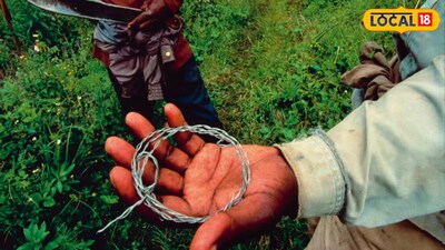 চোরাশিকারিদের ফাঁদ (প্রতীকী ছবি)