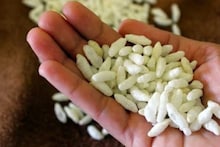 Muri: প্রেসার কুকারে ৫/৭ মিনিটেই বানিয়ে নিন মুচমুচে মুড়ি, মাসের পর মাস থাকবে খাস্তা, জানুন বানানোর পদ্ধতি