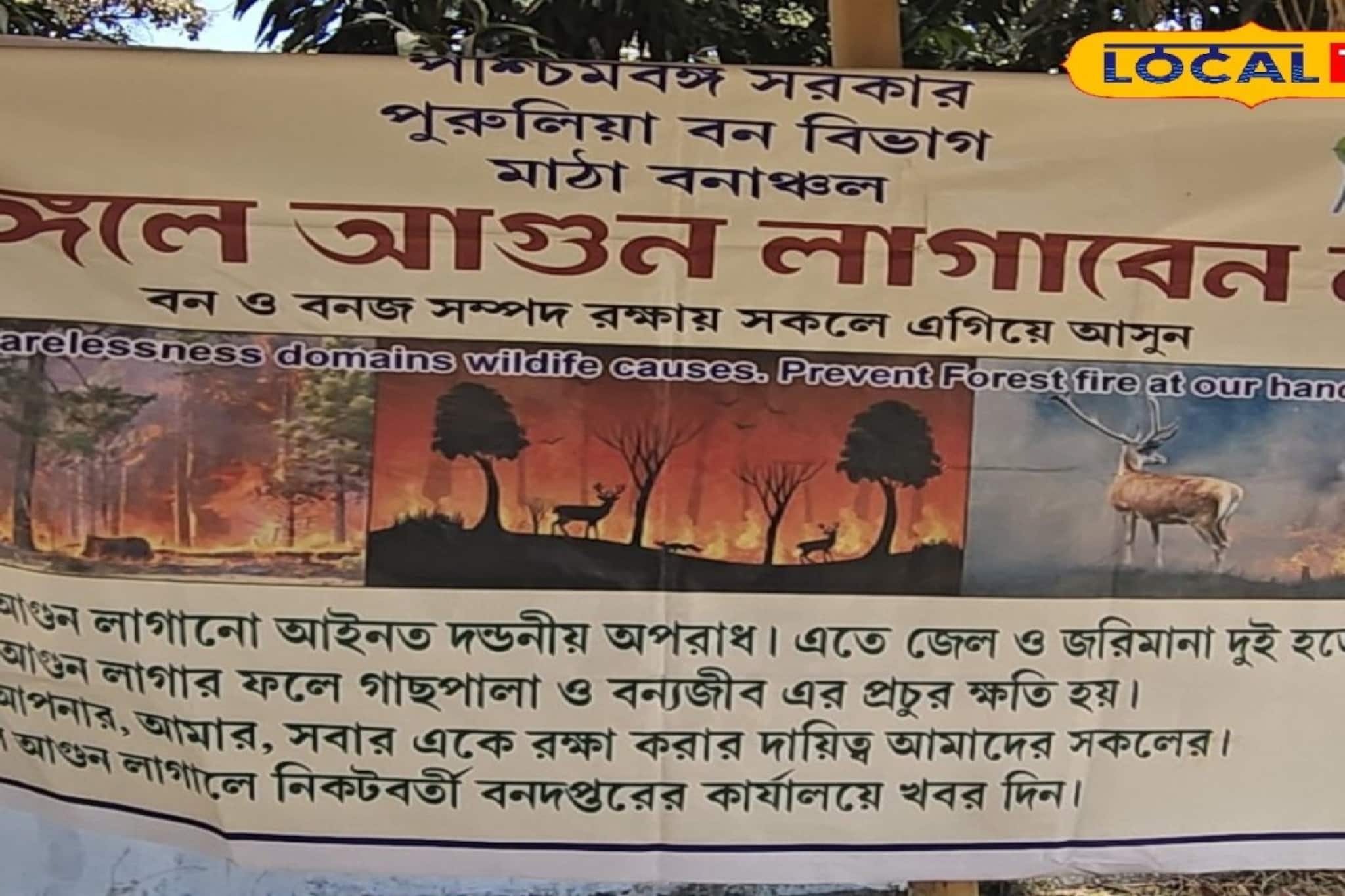 বনাঞ্চল রক্ষায় পুরুলিয়ায় বনবিভাগের বাড়তি নজরদারি! ব্যানার ও পোস্টারে ঢাকল জঙ্গলমহল বনাঞ্চল রক্ষায় পুরুলিয়ায় বনবিভাগের বাড়তি নজরদারি! ব্যানার ও পোস্টারে ঢাকল জঙ্গলমহল