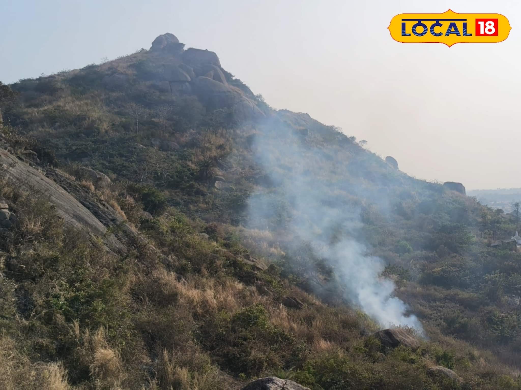 পুরুলিয়ায় জ্বলছে পাহাড়! ভয় ধরাচ্ছে আগুনের লেলিহান শিখা, পুড়ে ছাই বহু গাছপালা, দেখুন