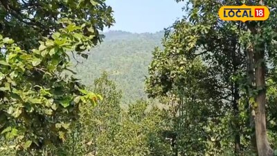 উৎসবের মরশুমে তৎপর পুরুলিয়া বন বিভাগ